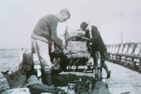 Pack35.jpg (66815 bytes)